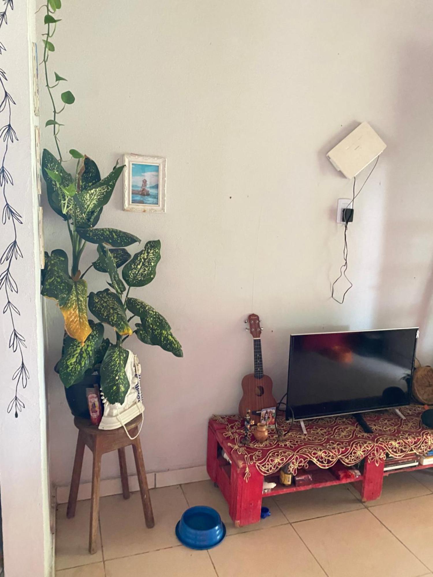 Casa Na Floresta Cosmica Ananindeua Exteriér fotografie